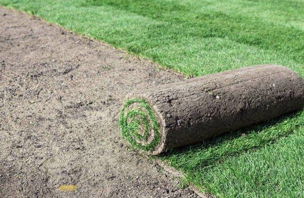 Orange Tree Landscape Services