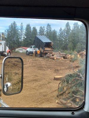Bend Tree Service