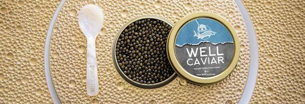 Well Caviar