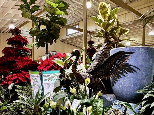 Armstrong Garden Centers