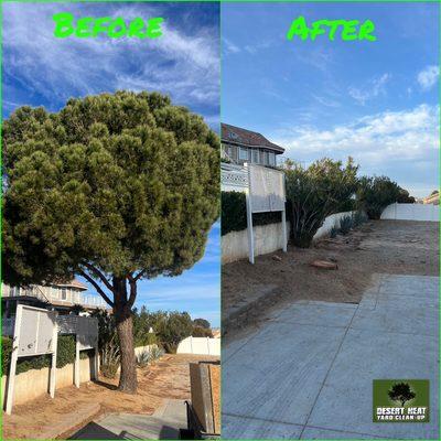 Desert Heat Yard Clean Up