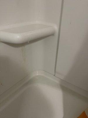 De Paula cleaning services