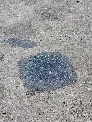 Transmission Oil leak never fixed