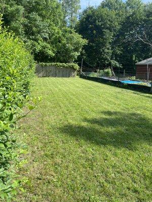 Murphys auto detailing