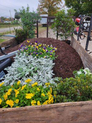 Getting ready to install flower beds.