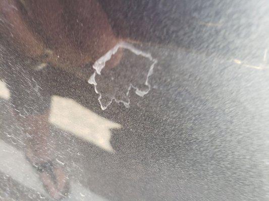 Peeling clear coat less than 2 years