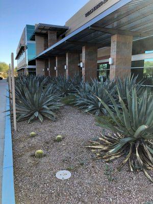 Affordable Family Law