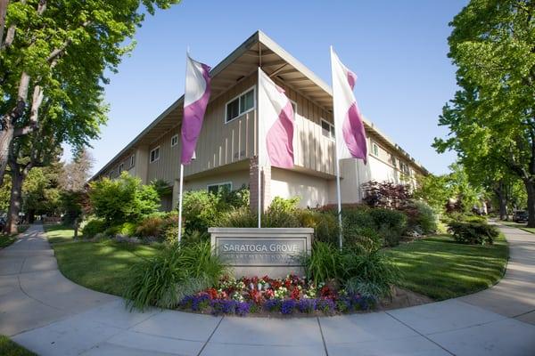 Saratoga Grove