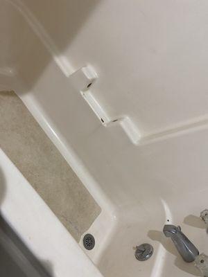 Moldy tub thay didn't drain