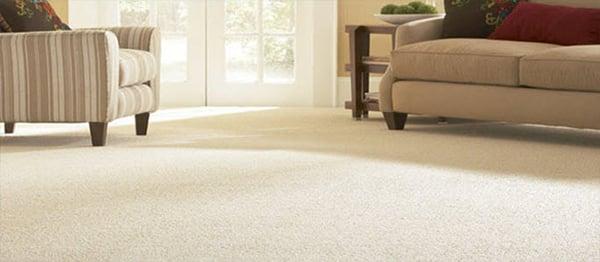 Carpet Cleaning By Metron