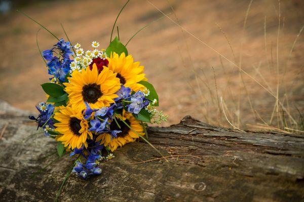 My Viola-Floral Studio