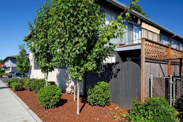 Villa D'Shirl Lee Apartments