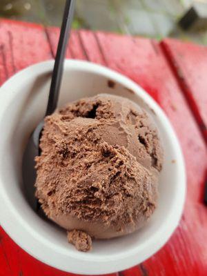 Hurry Back Ice Cream