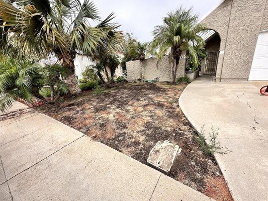 Gonzalez Landscape SD