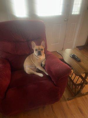 Our clean and happy boy.