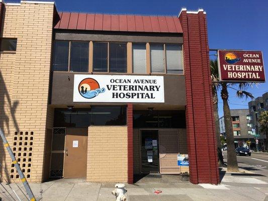 Ocean Avenue Veterinary Hospital