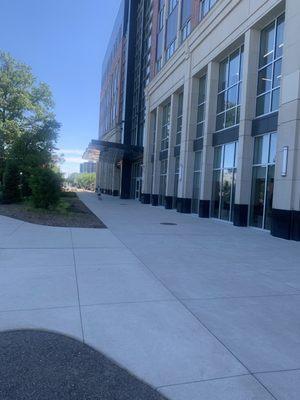 Henry Ford OptimEyes - Royal Oak