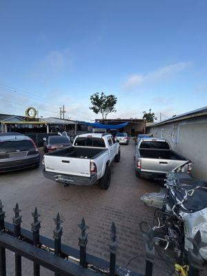Tampa Auto Collision