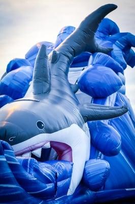 Shark Bite sponsored by Baskin Robbins