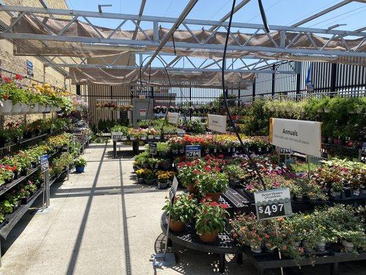 Walmart Vision & Glasses