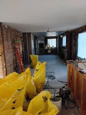 Professional Minority Group