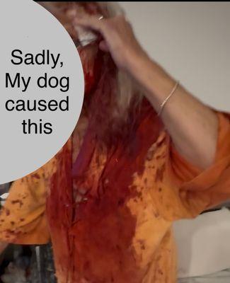 Eau Gallie Veterinary Hospital