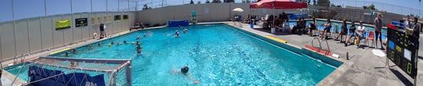 Alameda Water Polo Club