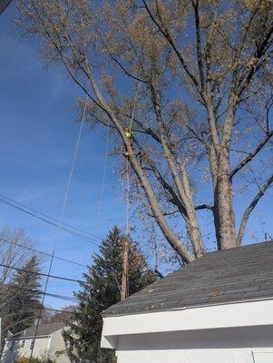 J Hernandez Landscaping