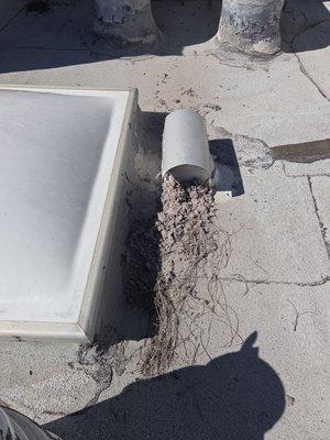 Dryer vent cleaning