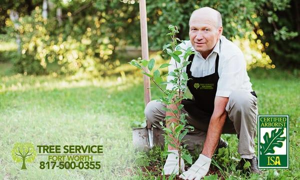 Henry's Tree Service of Fort Worth