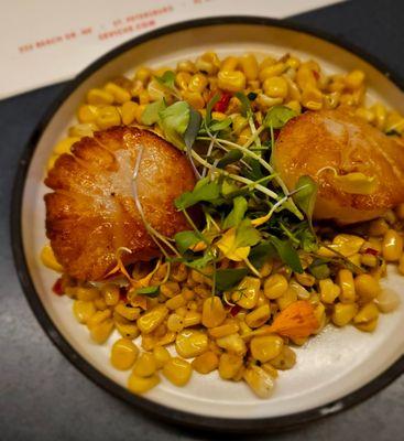 Scallops at Ceviche St Pete