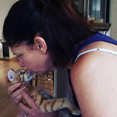 Creekside Critters Pet Sitters