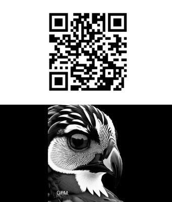 Digital Business Card