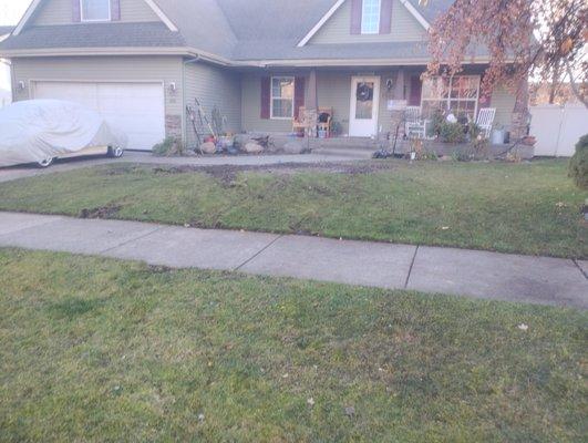 Green Smarts With Big Hearts