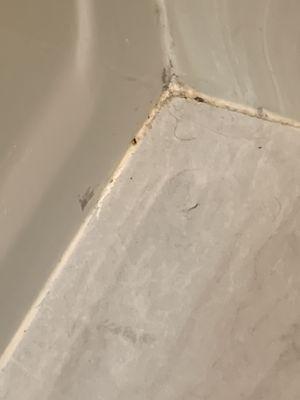 Dirt in the bathroom