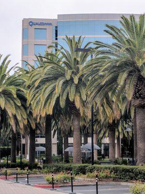 Qualcomm