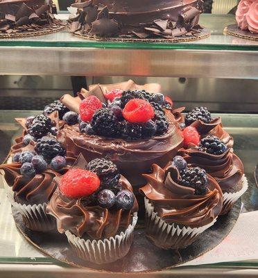 Yum, chocolate cupcakes plus