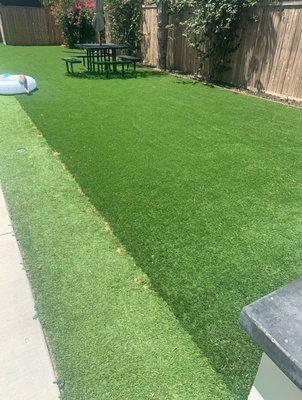 The after photos of clean yards are always our favorite!
