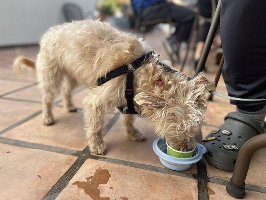 Rori's Artisanal Creamery