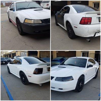 Ford mustang paint job