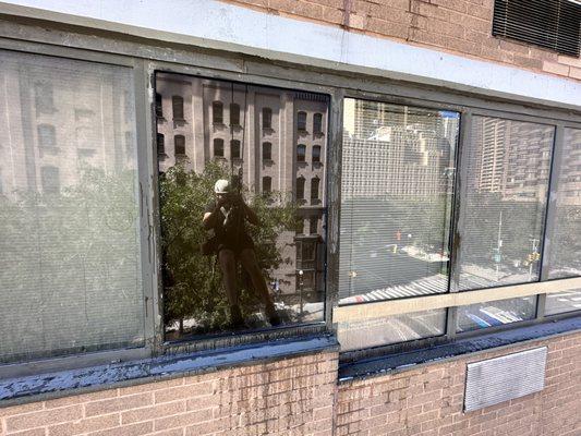 All Star Window Cleaning