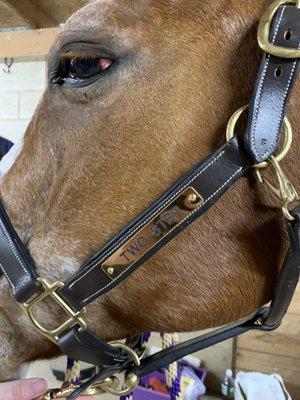 Rick's Saddle Shop & Feed Supplies