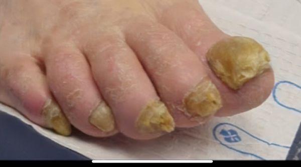 South Lyon Medical Center