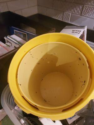 Weaver Exterminating Service