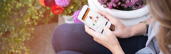 En Motion Security Solutions