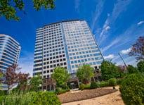 Seize Local Inc. Lawrenceville GA