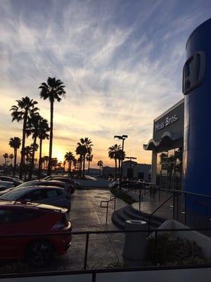 My place of business: Moss Bros. Honda. Title- Internet Sales Manager