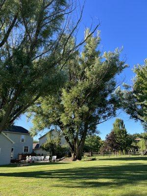 Arbor Tech Of Toledo