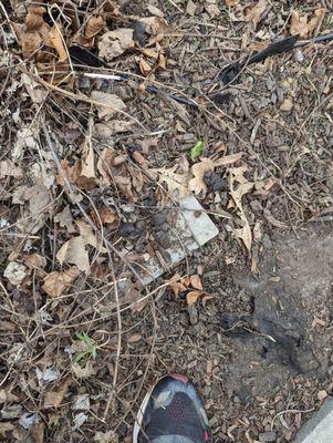 Turdminators Pet Waste Removal