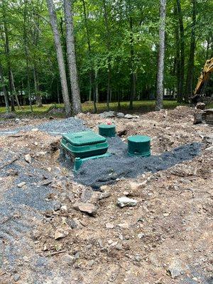 Tree World & Landscaping